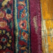 Insect Control from Area Oriental Rugs