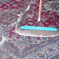 Area Rug Cleaning